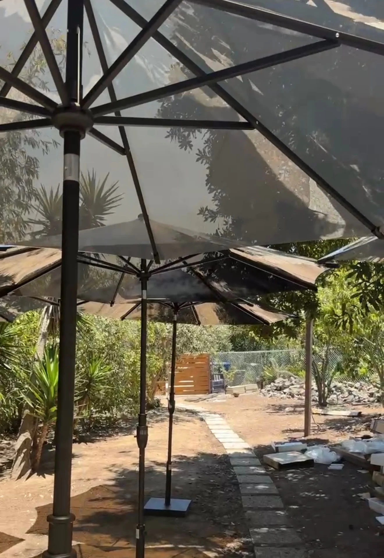Sunglass umbrellas creating transparent shade in a leafy outdoor setting